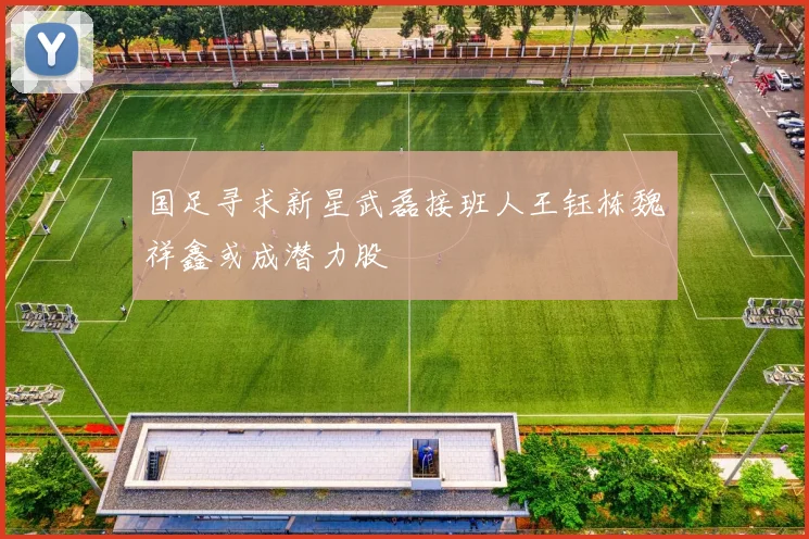 国足寻求新星武磊接班人王钰栋魏祥鑫或成潜力股