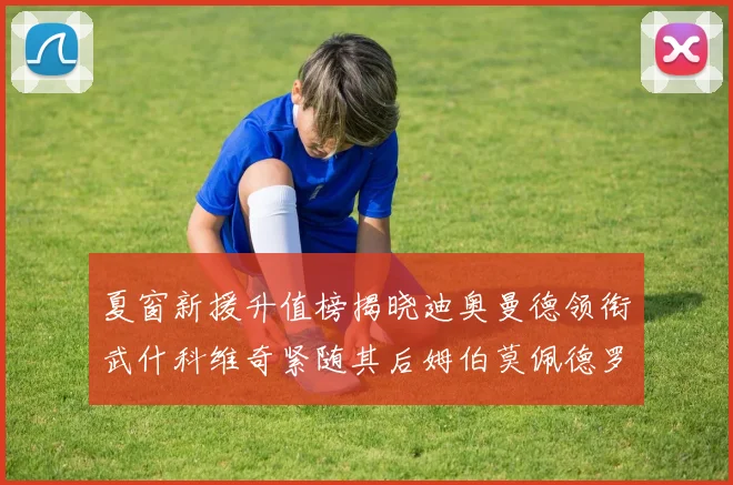 夏窗新援升值榜揭晓迪奥曼德领衔武什科维奇紧随其后姆伯莫佩德罗表现抢眼